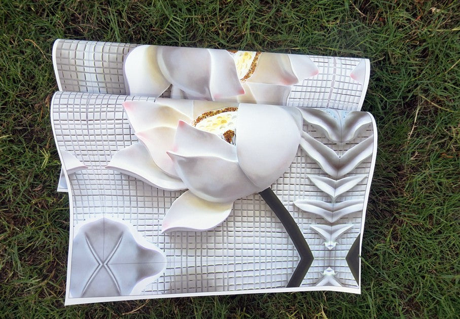 Limited Edition Lotus Flower Canvas [no frame] - Spiritual Bliss Shop